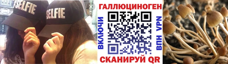 Псилоцибиновые грибы Psilocybe  Усинск 